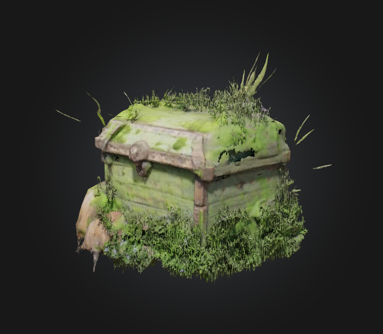 Nature's Reclaimed Treasure