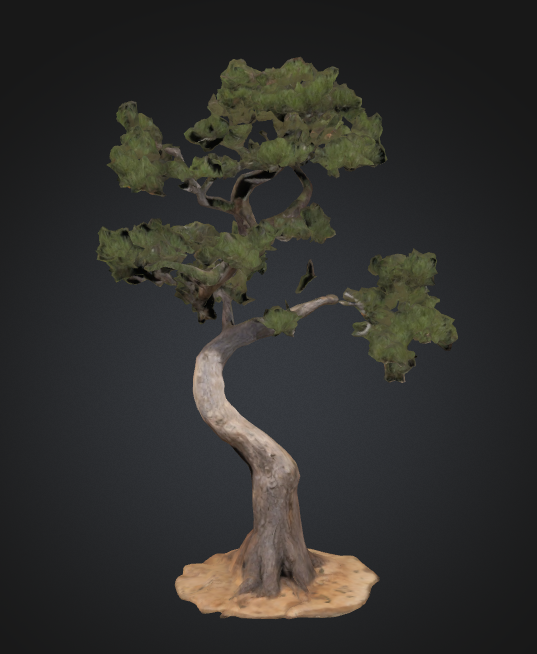 The Wanderer's Compass